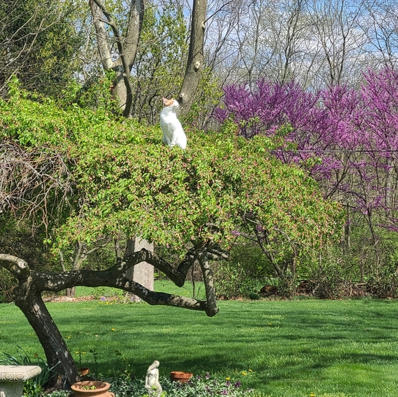 Pop In and Say Hi!! No Trades or Holds - Picture 8 of 9